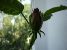 DSC03194