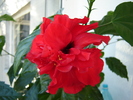 DSC03196