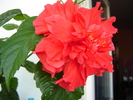 DSC03202