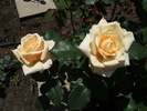 Diamond jubilee