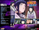 hinata-s-profile-wallpaper-naruto-shippuuden-9312361-800-600[1]