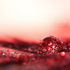 Mysterious_Red_by_Swirlie