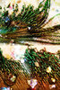 Peacock_colors_by_AcidicGlamour