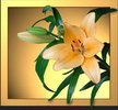 46d7ea2099a418[1].92547436frogview-gallery