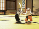 ninjacats