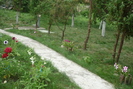P1060211