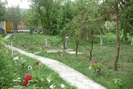 P1060219