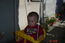 Picture 228