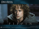 characters_pippin_800[1]