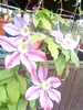 02 (17)
