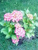 02 (14)