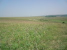 DSC00166