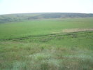 DSC00167