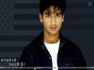 Shahid%20Kapoor%20innocent%20385