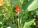 SANY1655