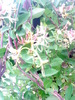 02 (20)