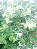 02 (16)