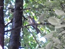 DSCN8153
