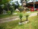 DSCN6423