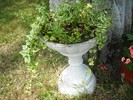 DSCN6434