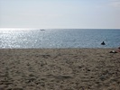 DSCN6549