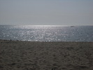 DSCN6550