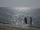 DSCN6553