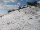 istrita_04feb_32