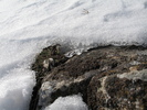 istrita_04feb_33