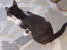 P8270265