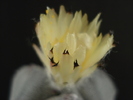 DSC00018