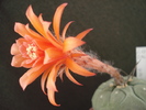 DSC00027