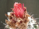 DSC00030