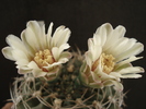 DSC00032