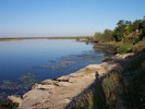 balta