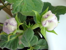 DSC01199
