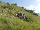 istrita 2010