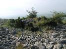 istrita 2010