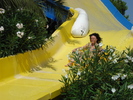 DSC00157