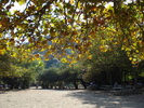 DSC00243