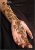 Latest and Beautiful Mehndi Designs  (9)