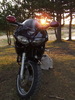 DSCF3783