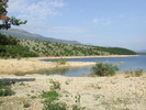 DSCF3845