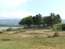 DSCF3854