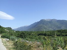 DSCF3937