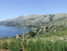 DSCF4183