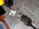 DSCF4227