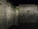 DSCF4232