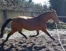 xaali2010.jpg 001