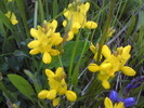 DSC00231